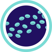 Icon of platelets separated from each other.